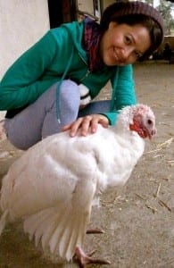 Melissa Huggins and Animal Acres Sanctuary with a rescued turkey. 