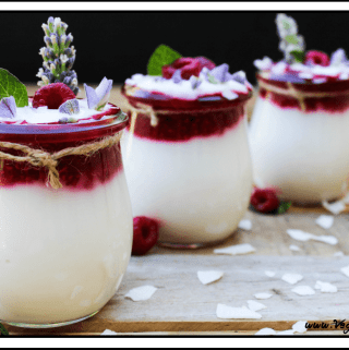 Any yogurt lovers out there like me? Don't you just love the creamy texture, coupled with sweet and tangy goodness? Well, this Raspberry Coconut Yogurt will provide all that and more.