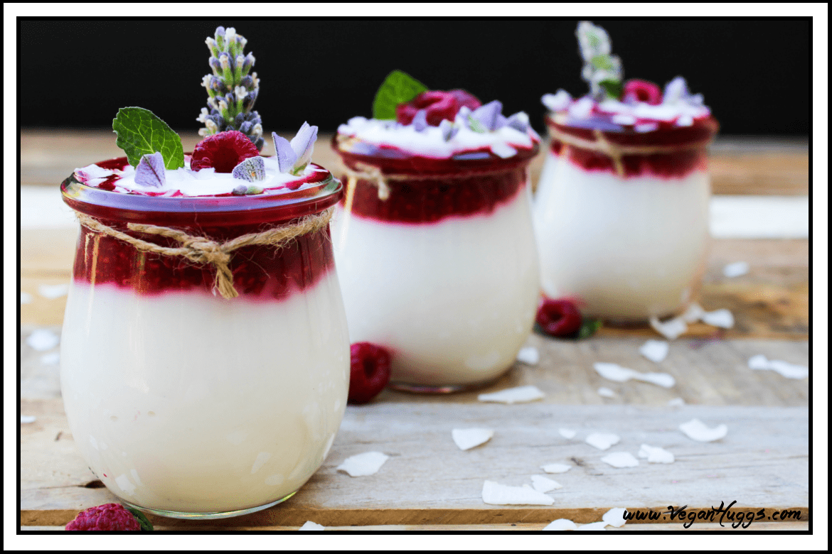 Raspberry Coconut Yogurt - Dairy Free - Vegan Huggs