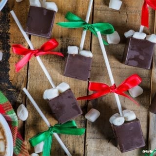 Who wouldn't love a cozy cup of chocolatey goodness topped with sweet pillowy marshmallows? This Hot Chocolate on a Stick is the perfect gift for just about anyone on your list.