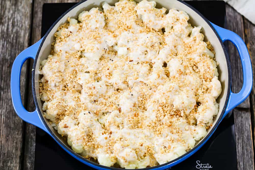 Vegan Cauliflower Casserole topped with breadcrumbs and ready to bake in blue casserole dish. 