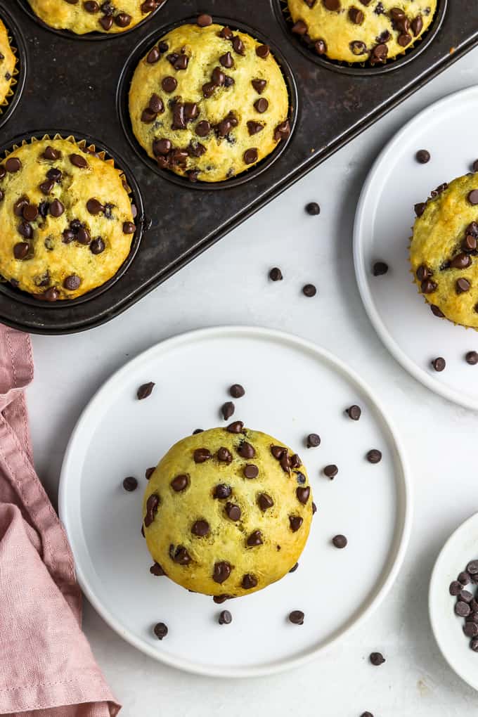 overhead view of two chocolate chip muffins on white plates and muffins in a muffin tin. 