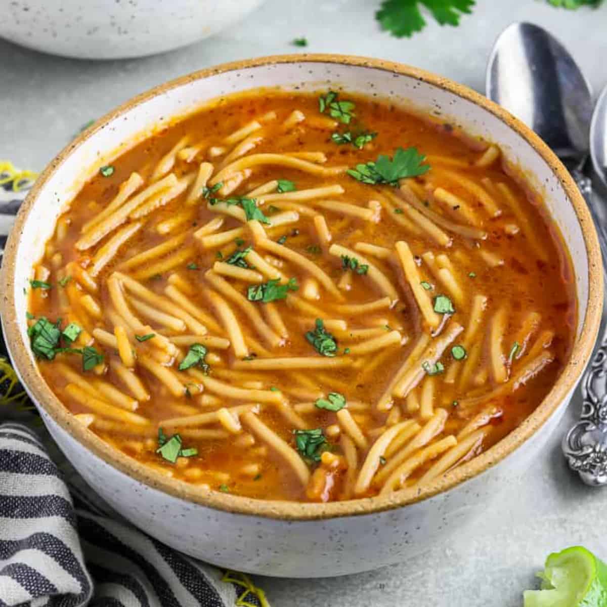 Sopa de Fideo (Mexican Noodle Soup) - Vegan Huggs