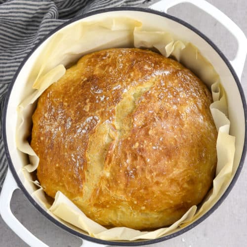 Clay Pot Bread Recipe (No Knead) - The Herbeevore