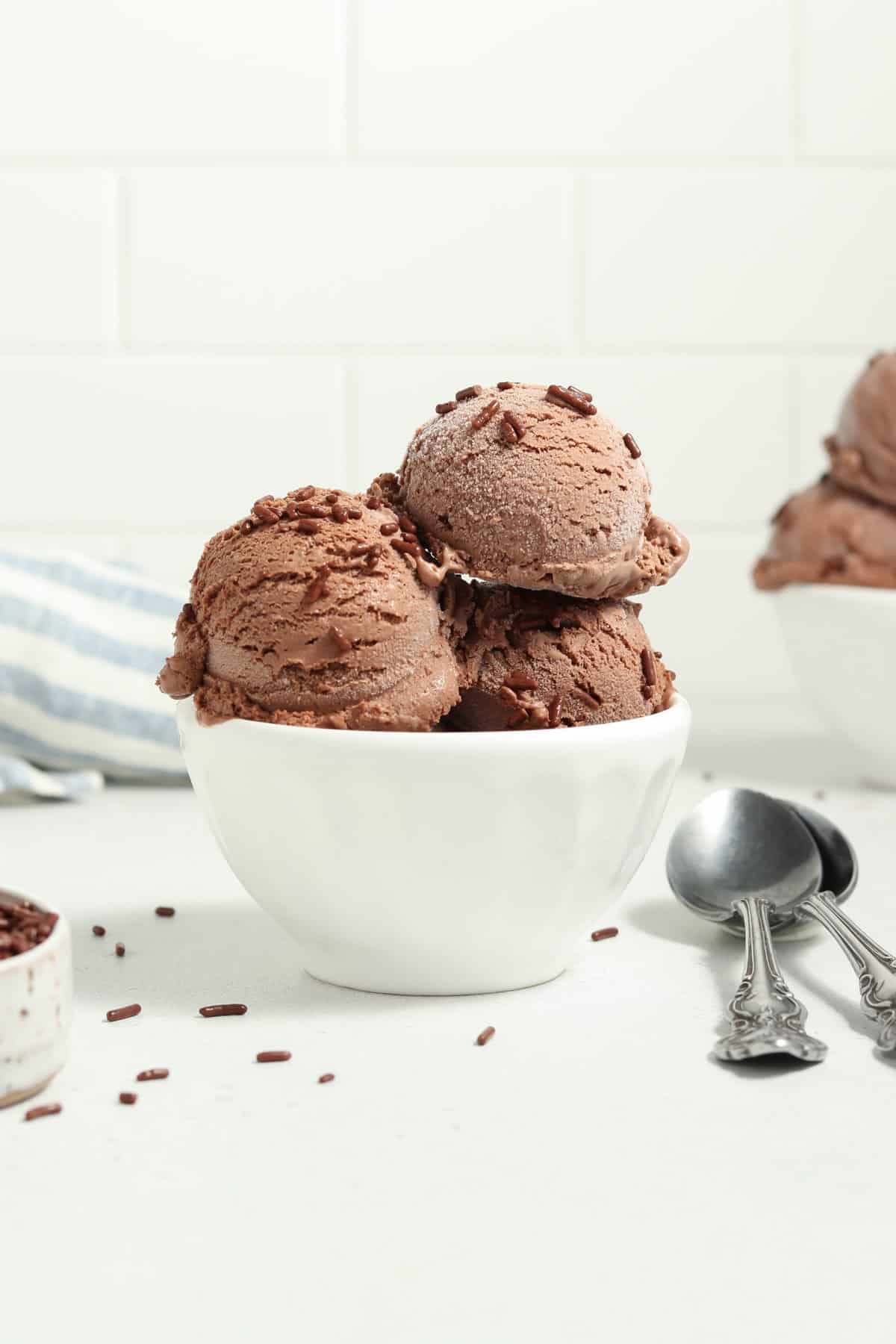 Front view of vegan chocolate ice cream in a white bowl with two spoons and sprinkles on the side. 