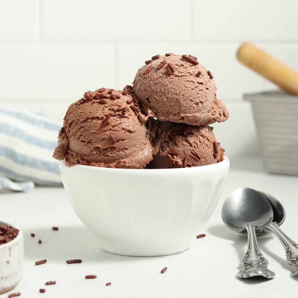 https://veganhuggs.com/wp-content/uploads/2021/08/vegan-chocolate-ice-cream-square-crop.jpg