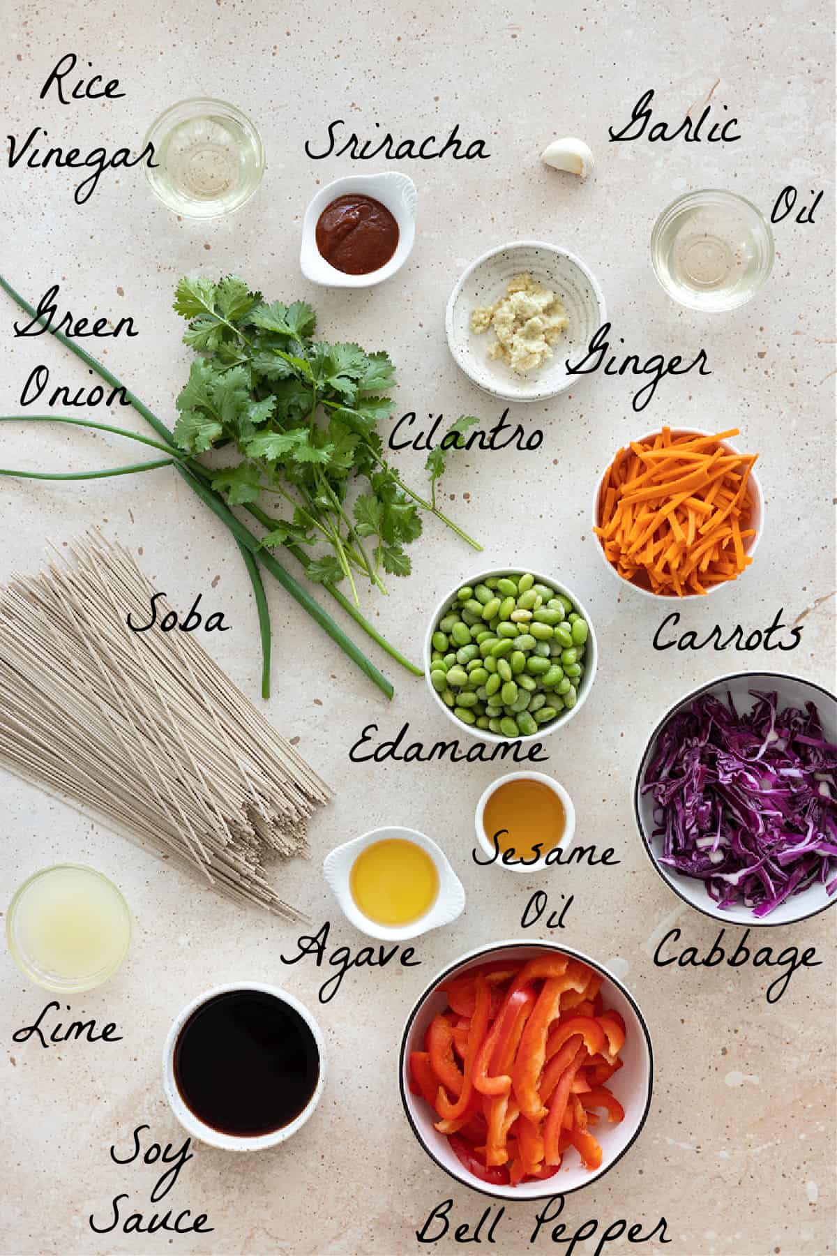 Ingredients to make the soba salad on a stone table top.